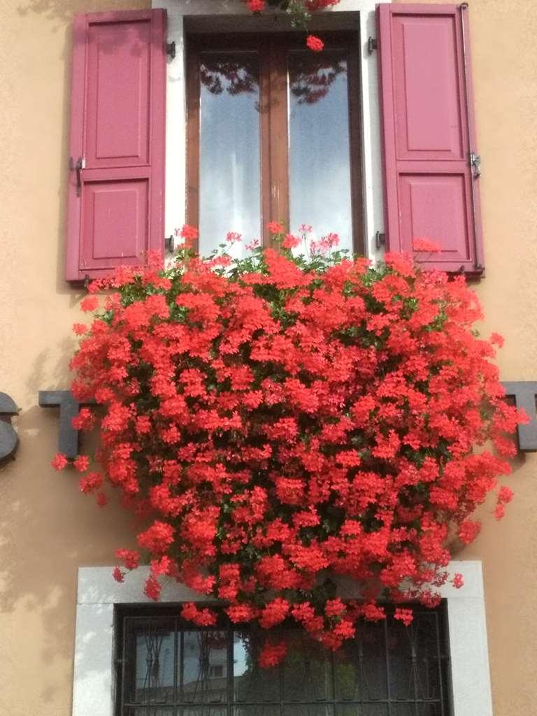 Hotel San Giorgio Удине Экстерьер фото
